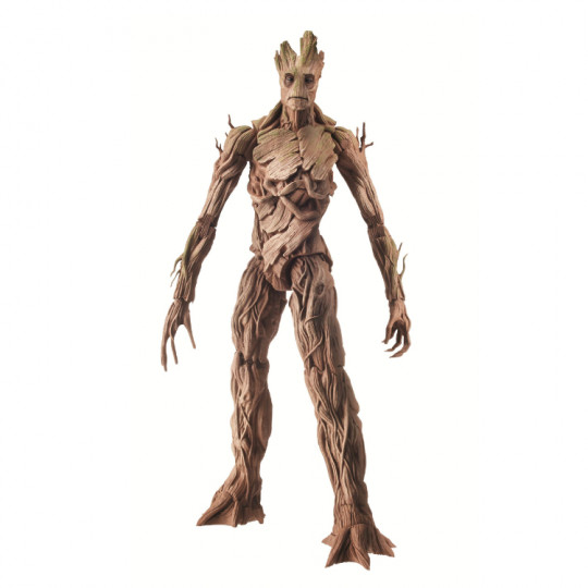 Groot