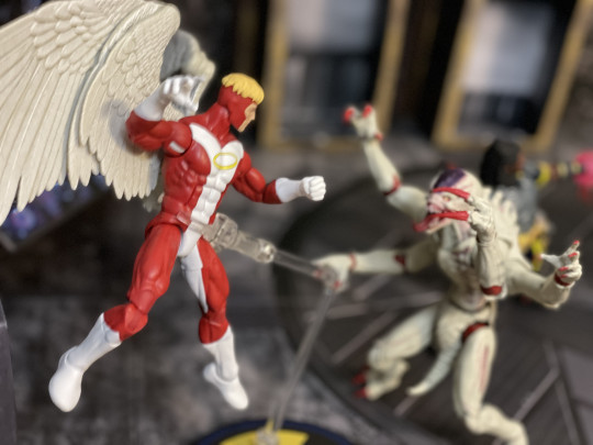 Display by Flydaddyfly