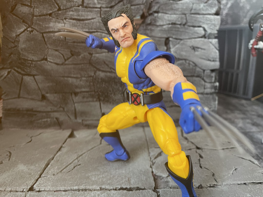 Display by Flydaddyfly