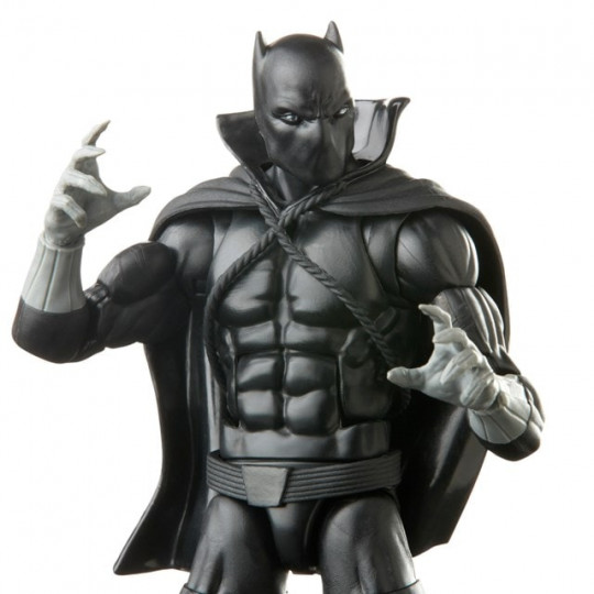 Display by Springi: Black Panther