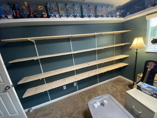 Display by McFarlaneCollector426