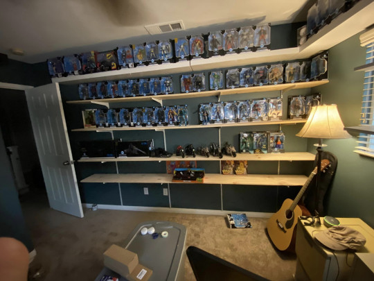 Display by McFarlaneCollector426