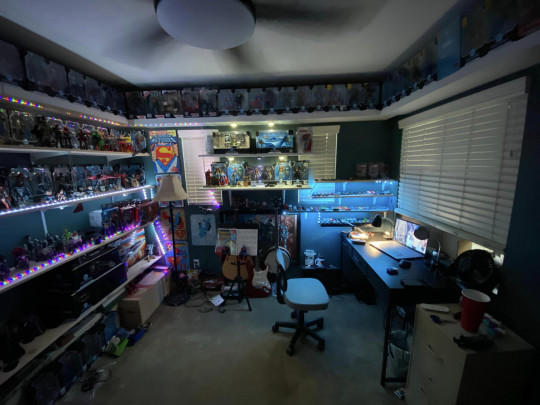Display by McFarlaneCollector426