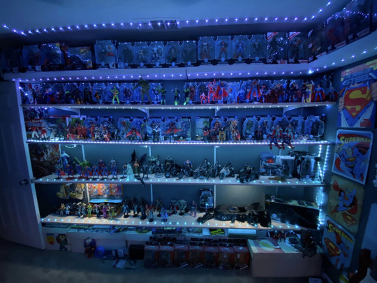 Display by McFarlaneCollector426