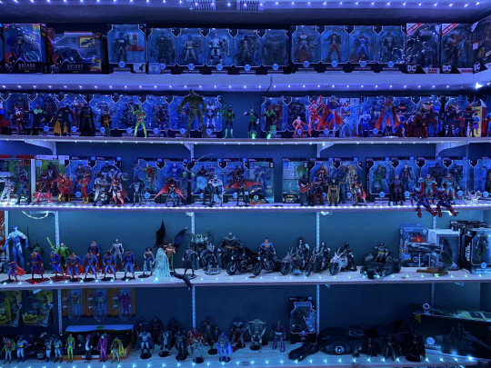 Display by McFarlaneCollector426