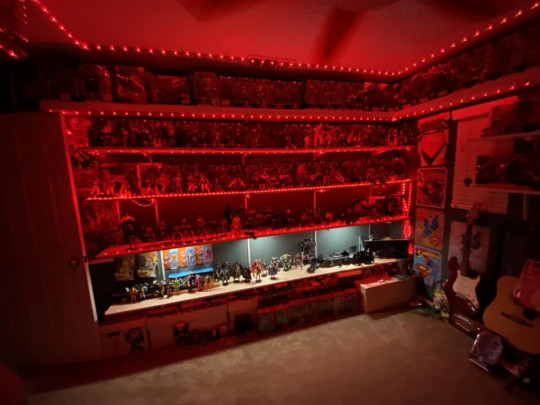 Display by McFarlaneCollector426