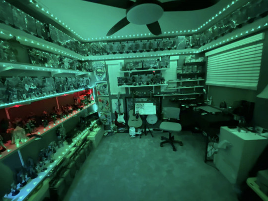 Display by McFarlaneCollector426