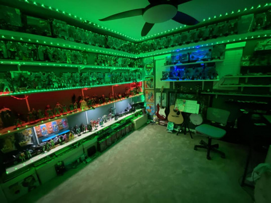 Display by McFarlaneCollector426