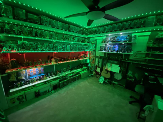 Display by McFarlaneCollector426