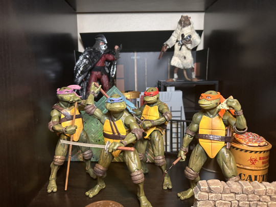Display by CartwheelsInTheKitchen