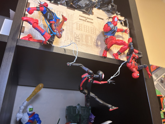 Spider-People