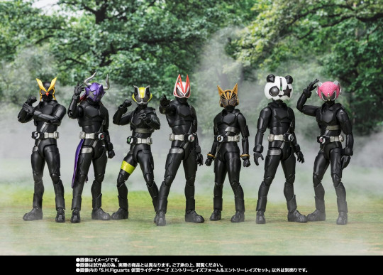 Kamen Rider Nago Entry Raise Form & Entry Raise Set