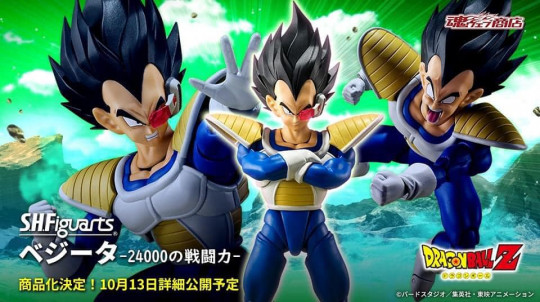 VEGETA -24000 POWER LEVEL-