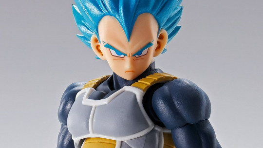 Super Saiyan God Super Saiyan VEGETA- super- -15th anniversary Ver.-