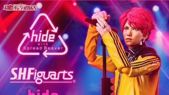 Hide