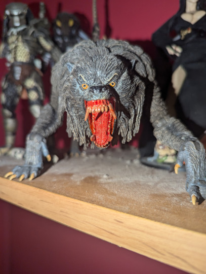 Display by Loganxdanstoys