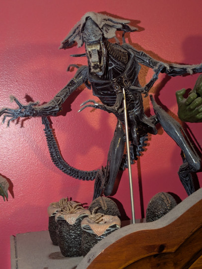 Display by Loganxdanstoys