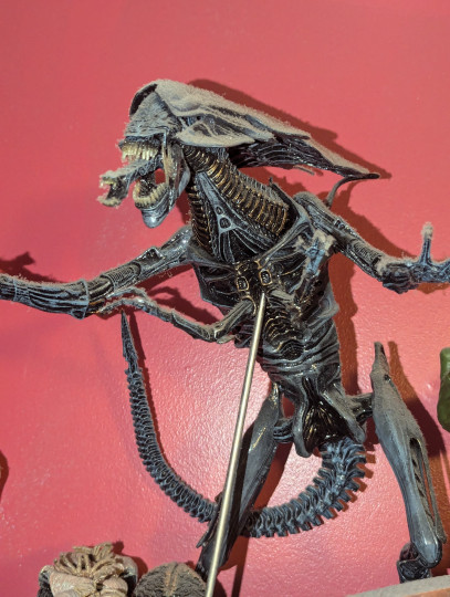 Display by Loganxdanstoys
