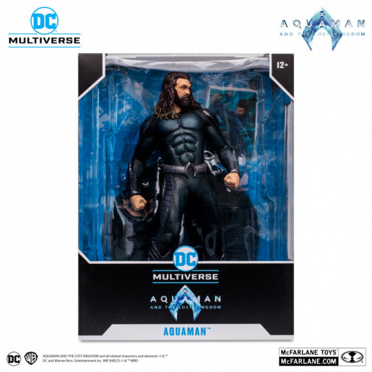Aquaman (Aquaman And The Lost Kingdom) 12″ Pvc Statue