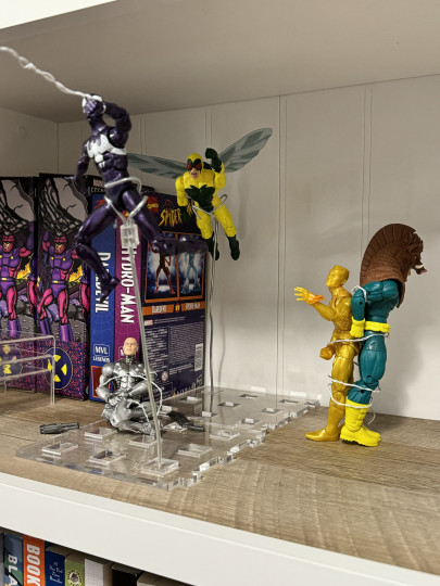 Display by Celeon1