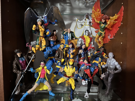 Display by Catu
