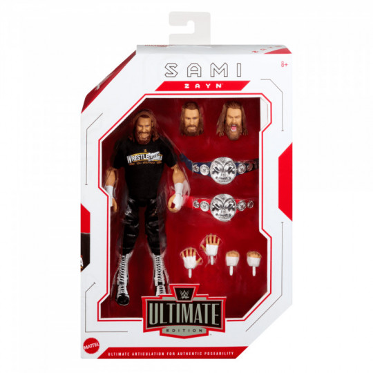 Sami Zayn