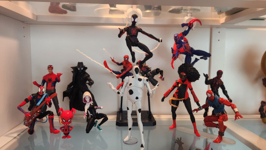 Display by IronSpideyX51