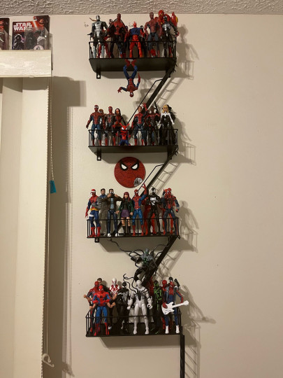 Display by TheLastSon