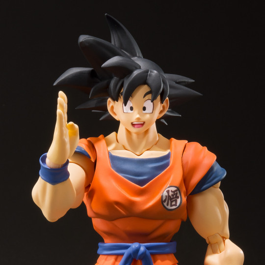 Display by Theinfamoustmf: S.H.Figuarts SON GOKU -A SAIYAN RAISED ON EARTH-