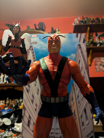 Display by Loganxdanstoys