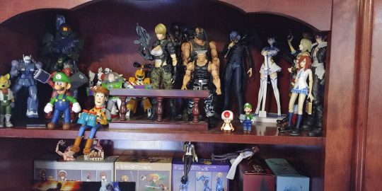 Display by SgtGanlo