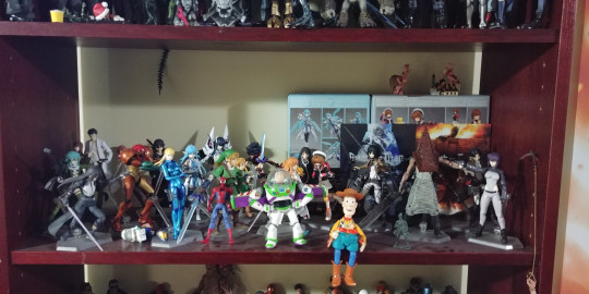 Display by SgtGanlo
