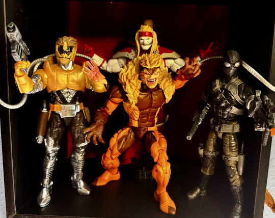 Display by Huntaur