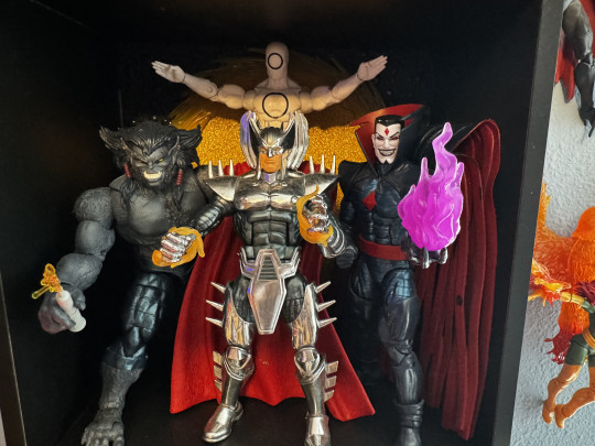 Display by Huntaur