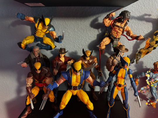 Display by Huntaur