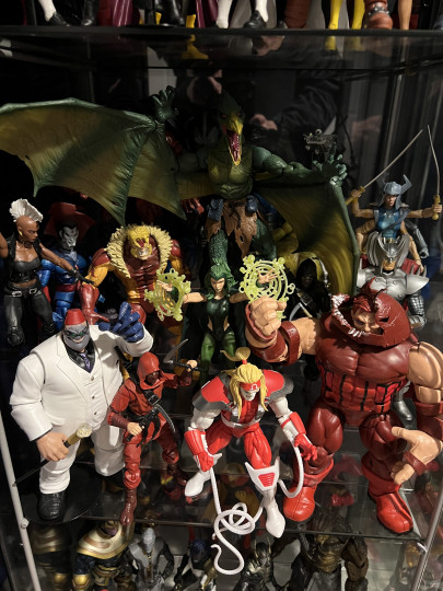 Display by gambit1969