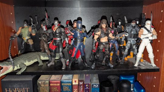 Display by Loganxdanstoys