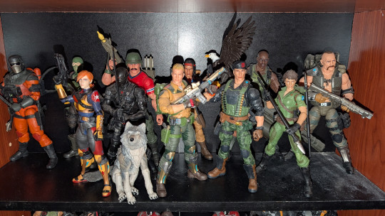 Display by Loganxdanstoys