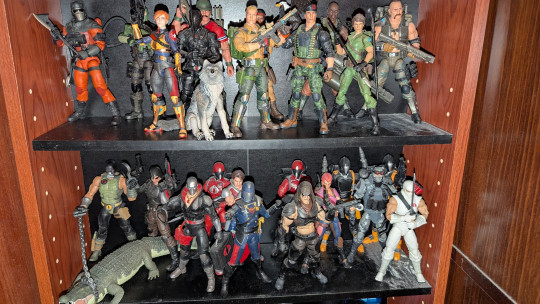 Display by Loganxdanstoys