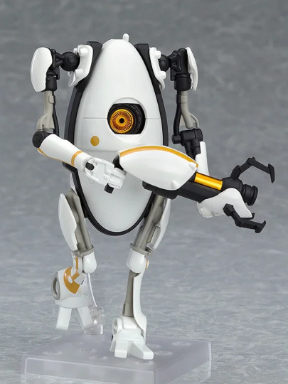 P-Body