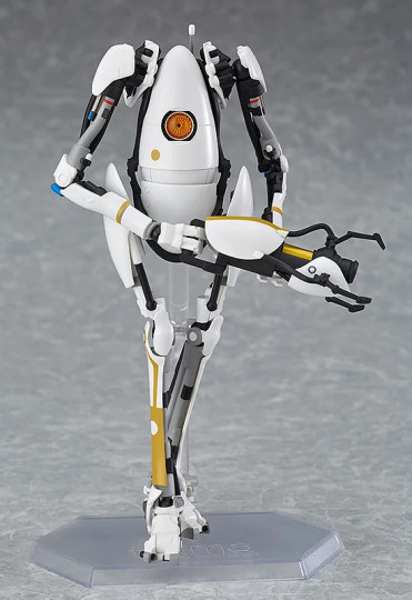 P-Body
