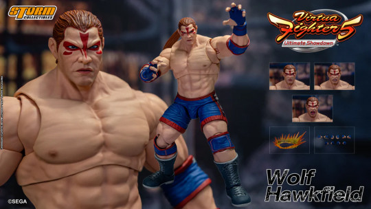 Wolf Hawkfield - Virtua Fighter 5 Action Figure
