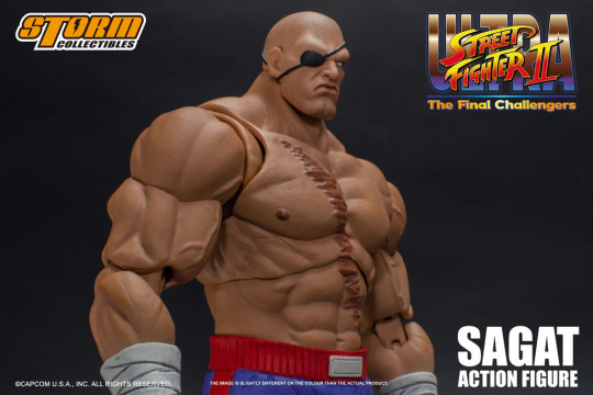 Collector figure art