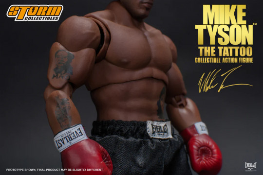 Mike Tyson - The Final Round