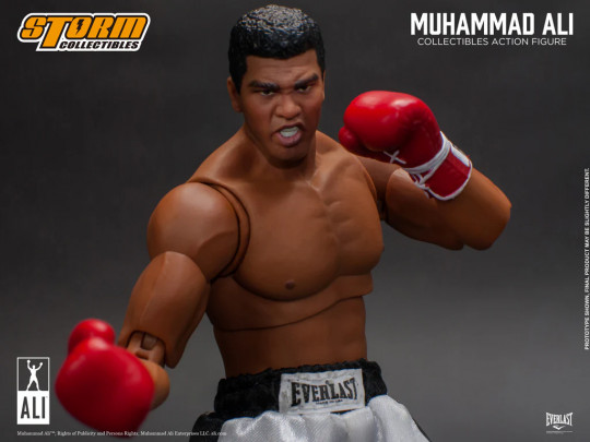 Muhammad Ali™ Collectible Action Figure