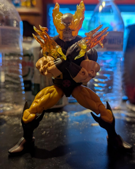 Display by Loganxdanstoys