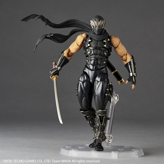 Ryu Hayabusa