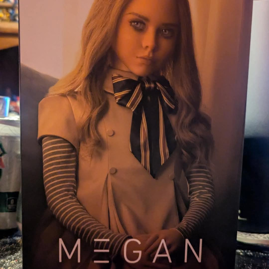 Display by Loganxdanstoys