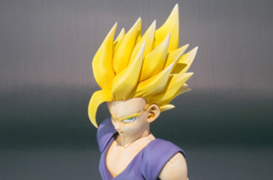 S.H.Figuarts 2010 checklist