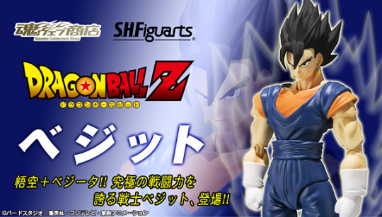 Vegetto
